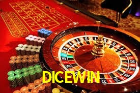 DICEWIN Indicadores de vuelo